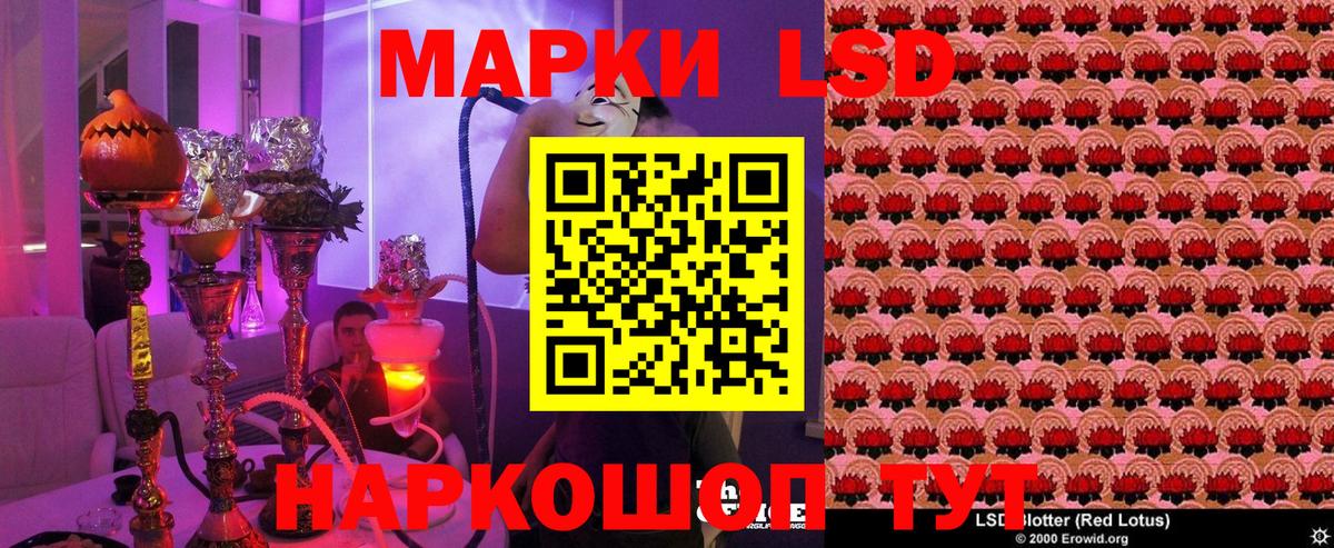 дарнет шоп  Вход с VPN  Борзя  Марки N-bome 1,8мг 