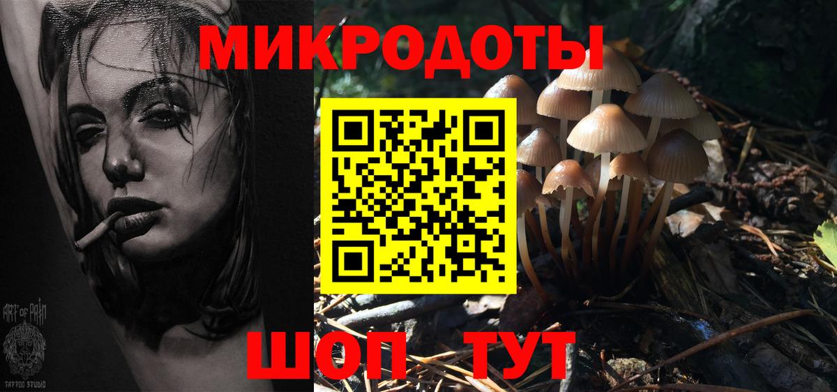 купить наркотик  Вход с VPN  Борзя  Псилоцибиновые грибы Magic Shrooms  Галлюциногенные грибы мухоморы 