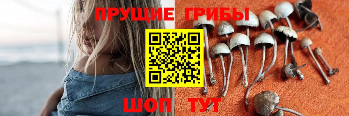 Псилоцибиновые грибы мухоморы Борзя
